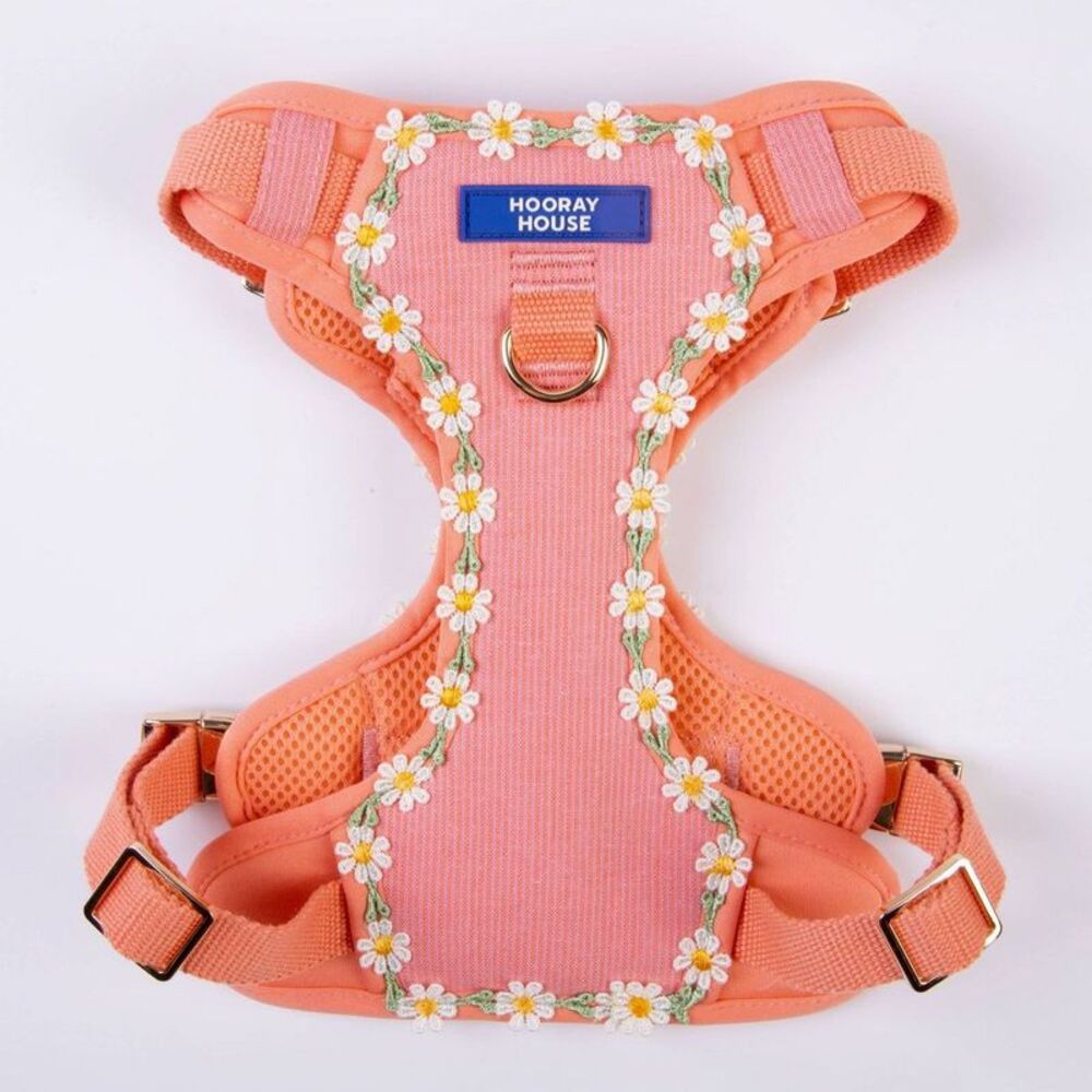 Hooray House -  Daisy Dog Harness - S